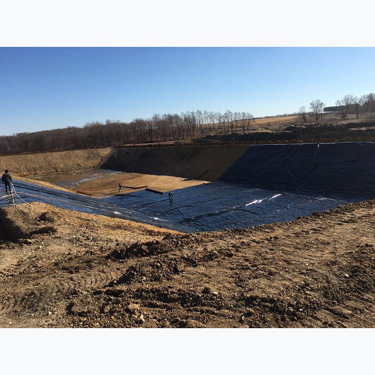 ����Ĥ��ʲô�|��