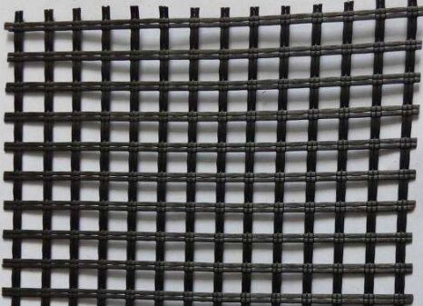 �����w�S�����������